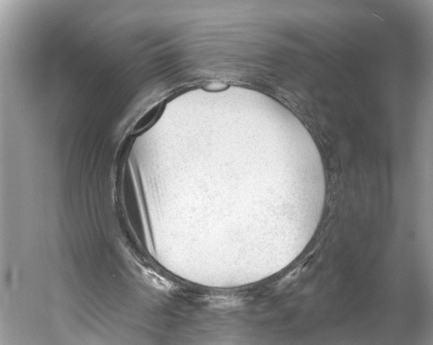 X0000053160194200508081446