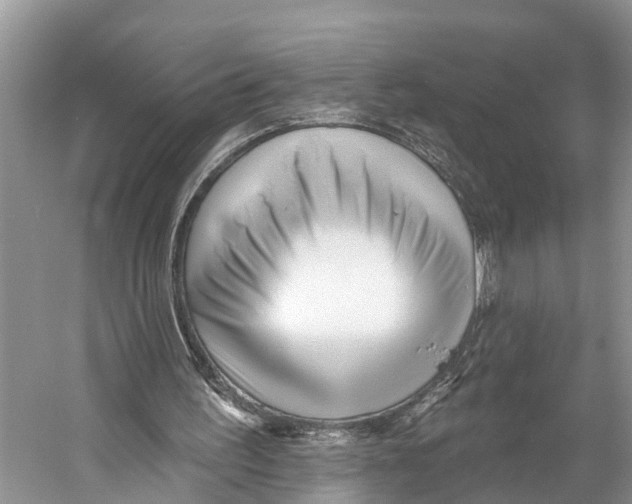 X0000053160195200508081446