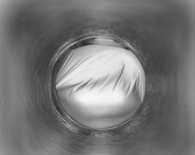 X0000053160199200508081446