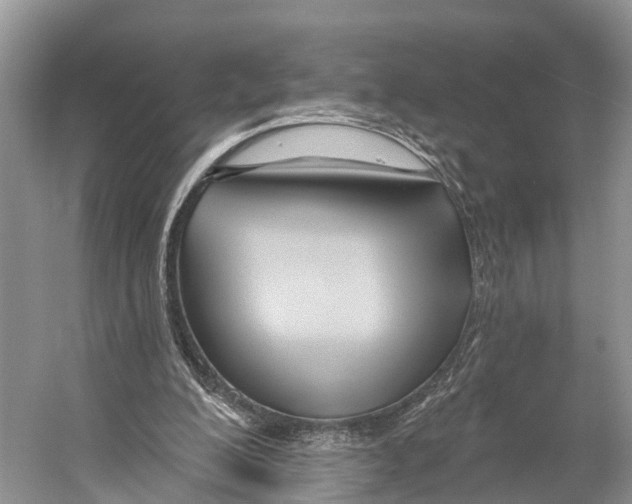 X0000053160200200508081446