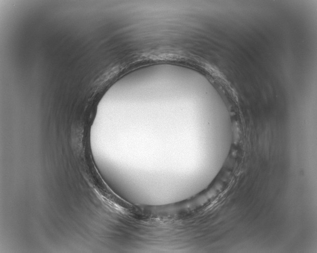 X0000053160201200508081445