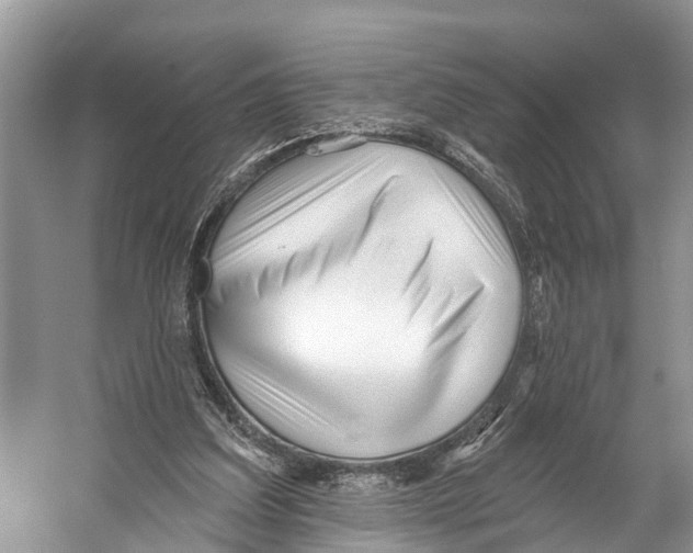 X0000053160203200508081445