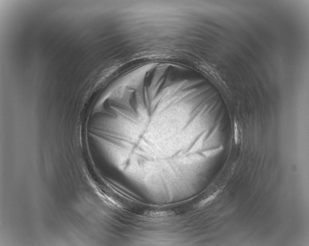 X0000053160205200508081445