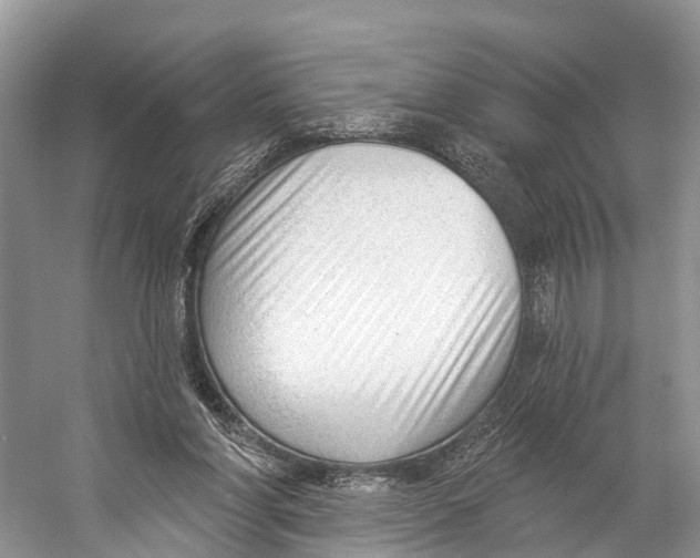 X0000053160206200508081445
