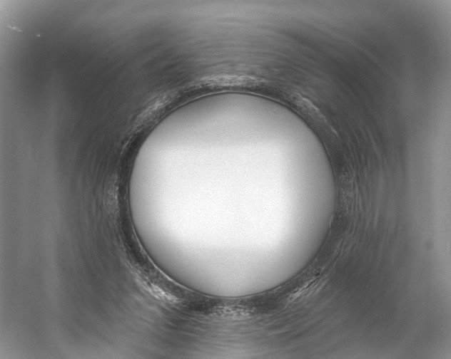 X0000053160207200508081445
