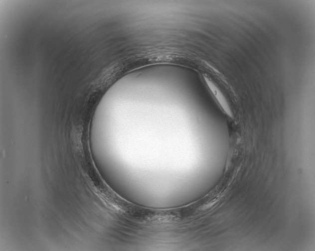 X0000053160209200508081445