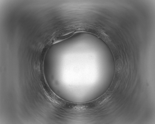 X0000053160213200508081445