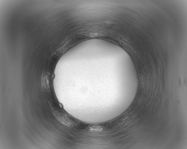 X0000053160214200508081445