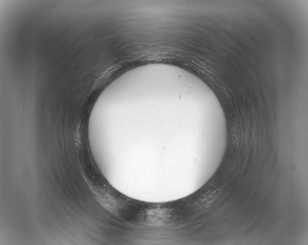 X0000053160216200508081445