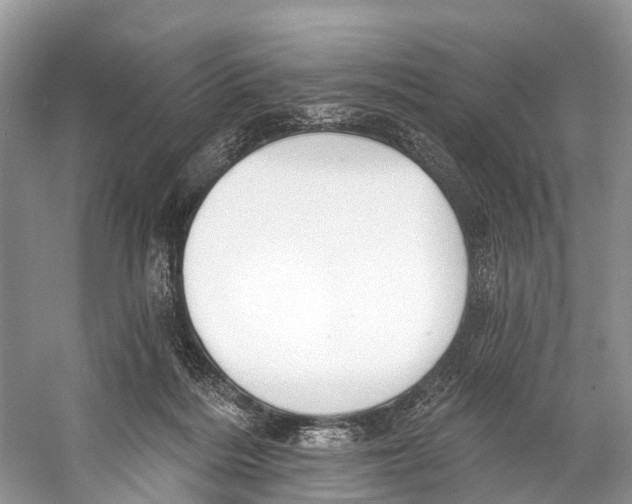 X0000053160220200508081445