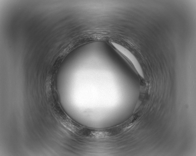 X0000053160221200508081445