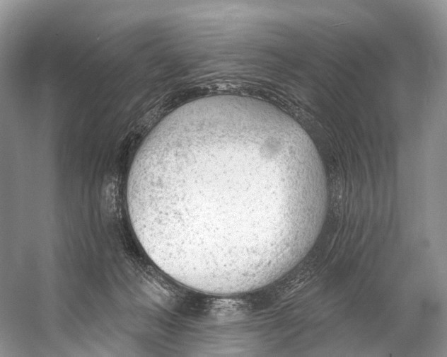 X0000053160222200508081445
