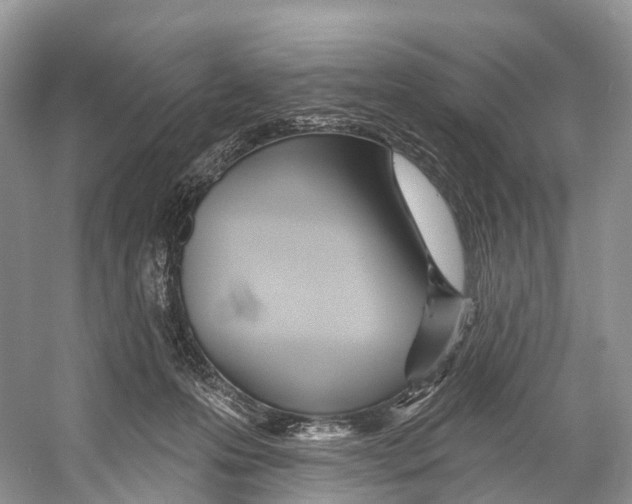 X0000053160223200508081445