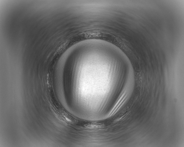 X0000053160224200508081445