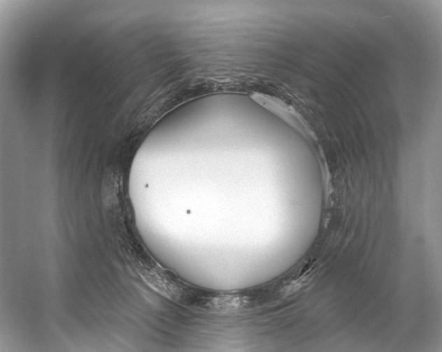 X0000053160225200508081445