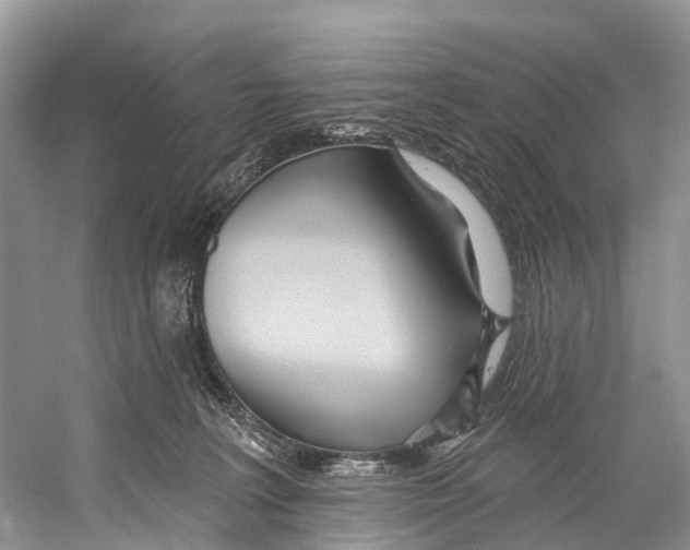 X0000053160227200508081445