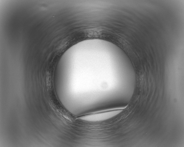 X0000053160228200508081445