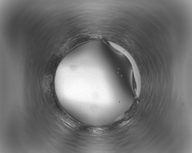 X0000053160229200508081445