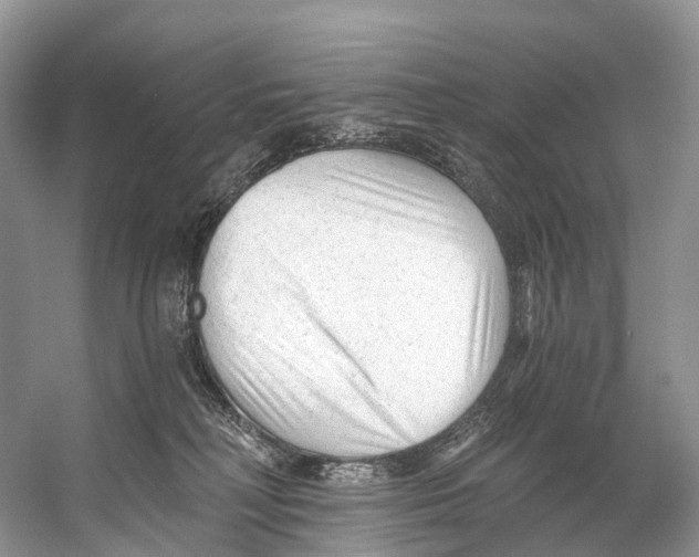 X0000053160230200508081445