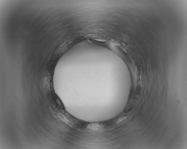 X0000053160231200508081445