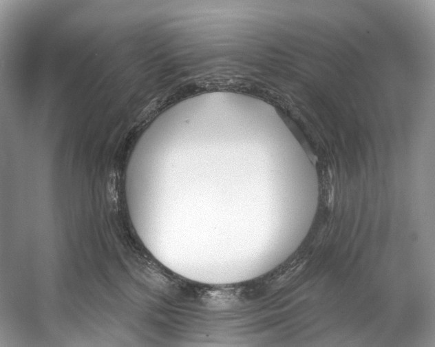 X0000053160232200508081445