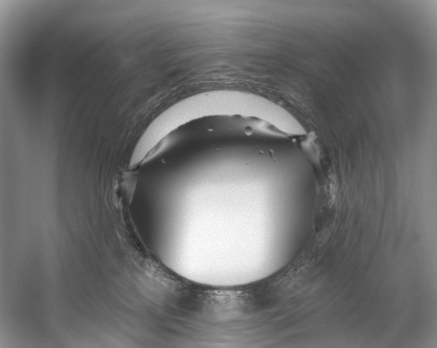 X0000053160233200508081445