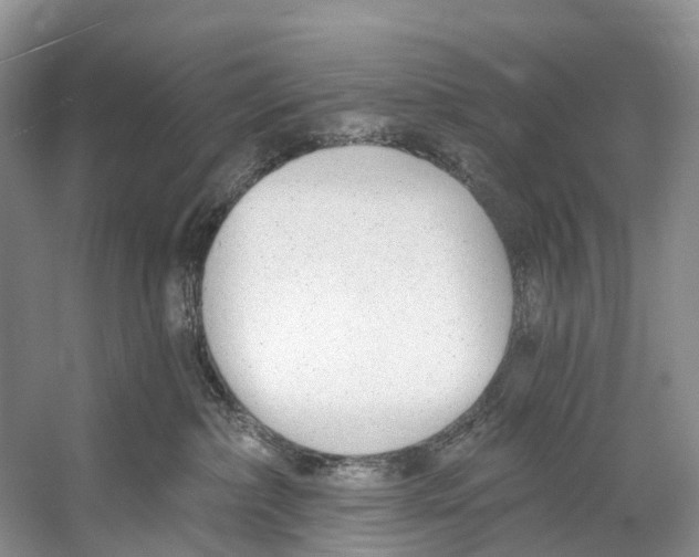 X0000053160236200508081445