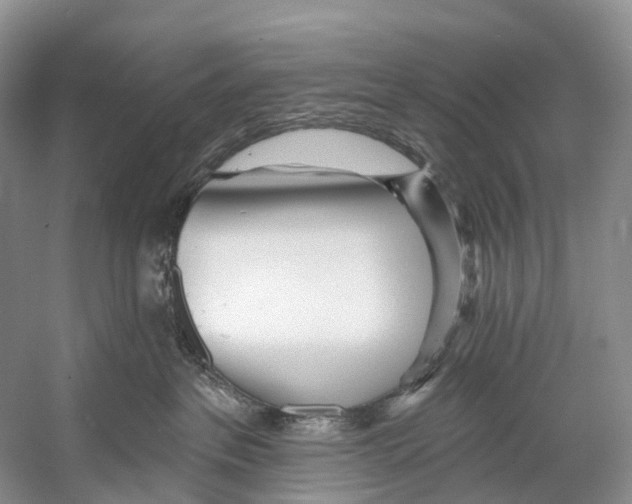 X0000053160237200508081445