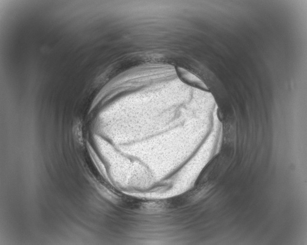 X0000053160238200508081445