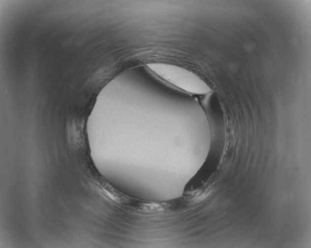X0000053160239200508081445