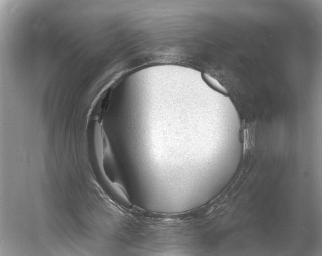 X0000053160243200508081444