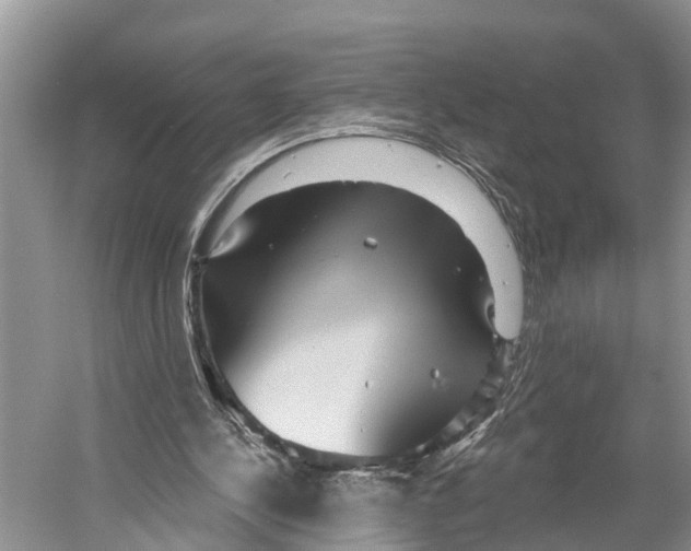 X0000053160244200508081444