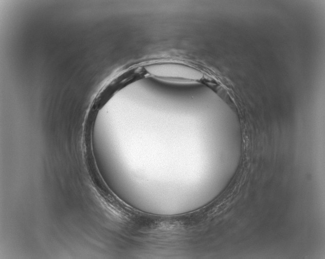 X0000053160248200508081444