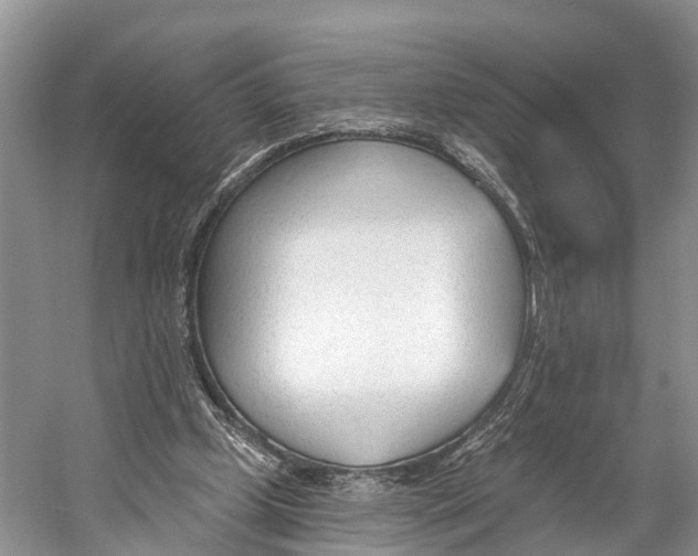 X0000053160249200508081444