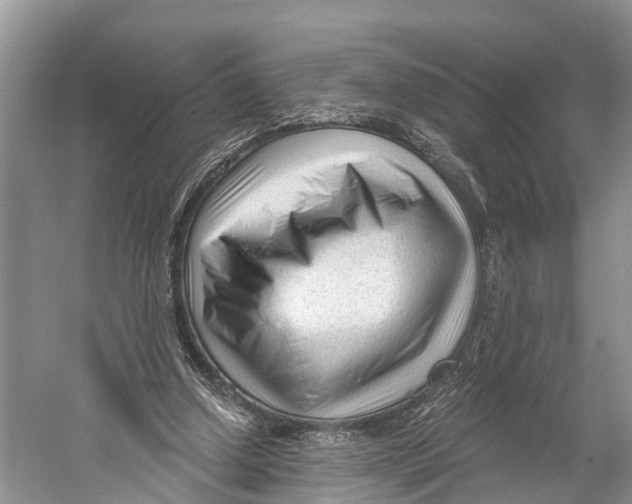X0000053160250200508081444