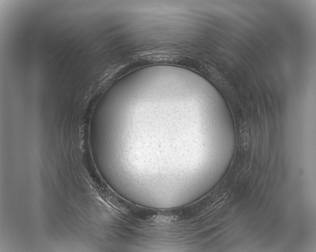 X0000053160255200508081444