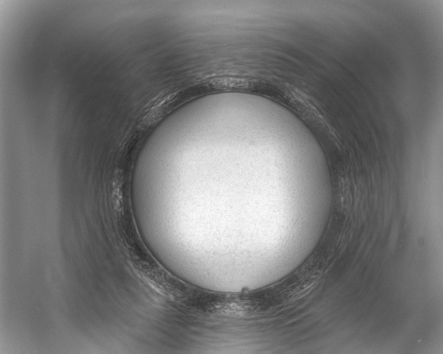 X0000053160259200508081444