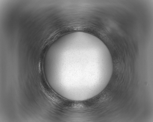 X0000053160262200508081444