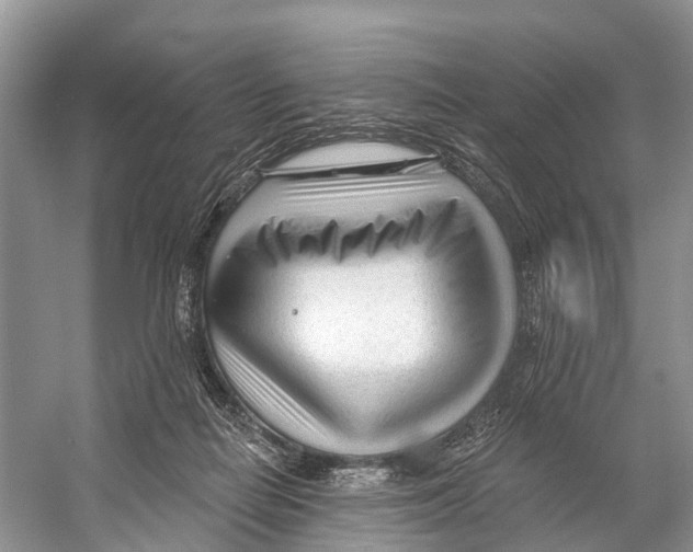 X0000053160266200508081444