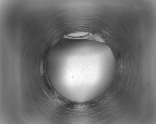 X0000053160267200508081444