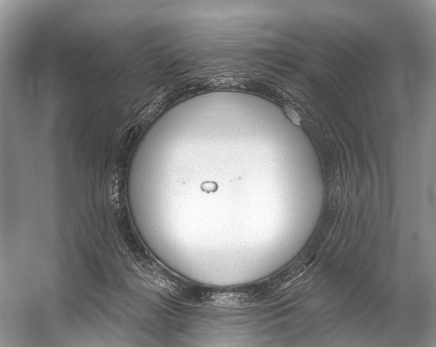 X0000053160268200508081444