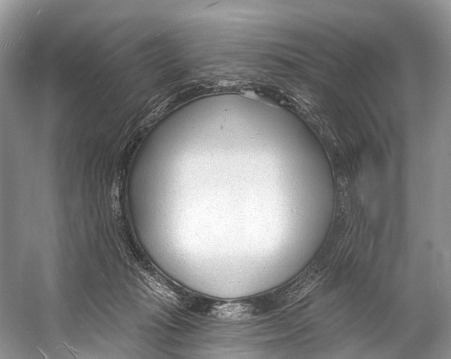 X0000053160269200508081444