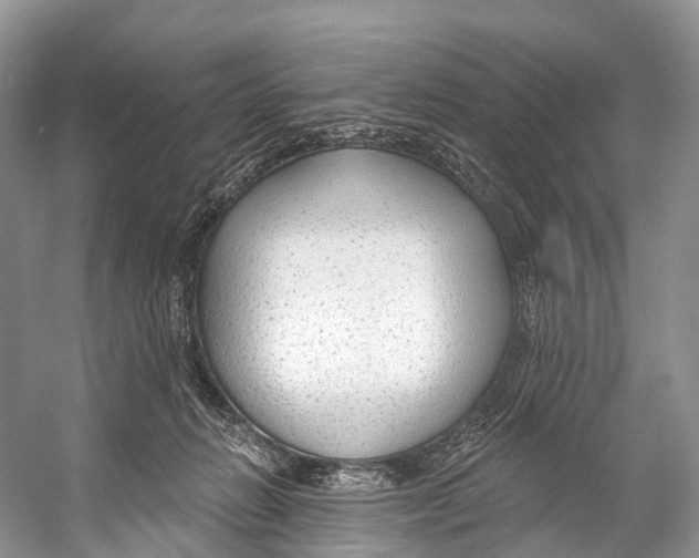 X0000053160270200508081444