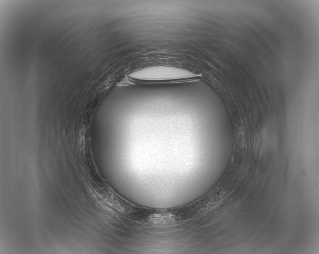 X0000053160271200508081445
