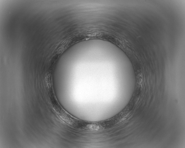 X0000053160272200508081445