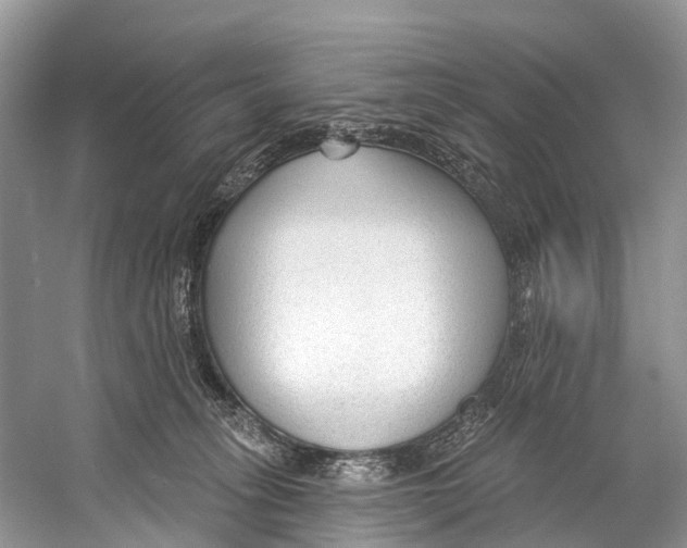 X0000053160275200508081445