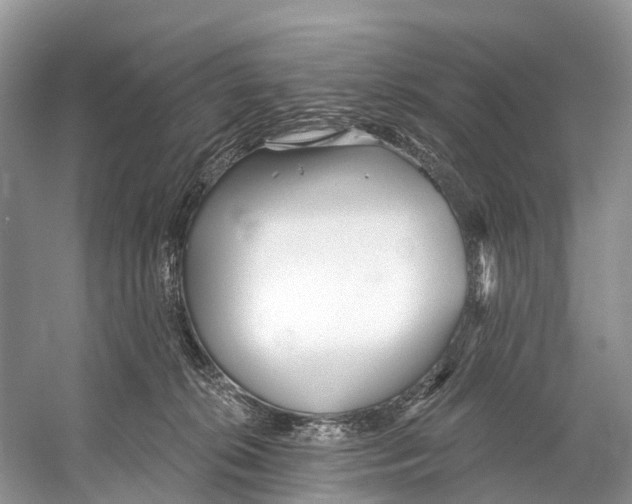 X0000053160276200508081445