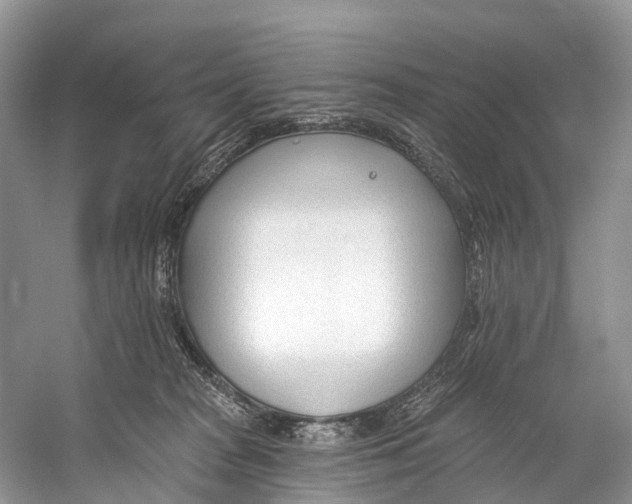 X0000053160277200508081445