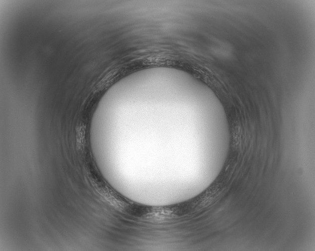 X0000053160278200508081445