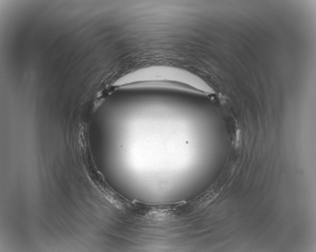 X0000053160280200508081445
